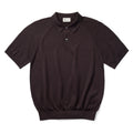 Short Sleeve Knit Polo in Brown, front