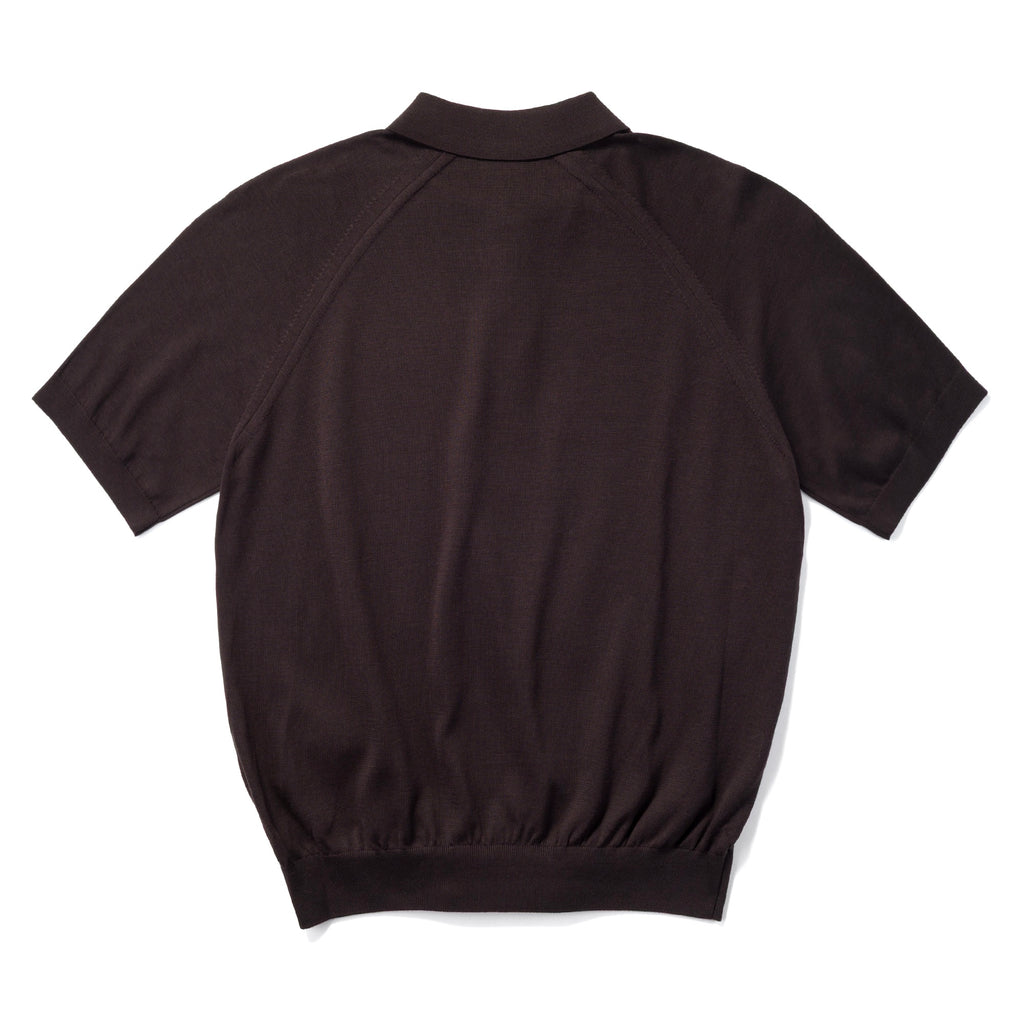 Short Sleeve Knit Polo in Brown, back