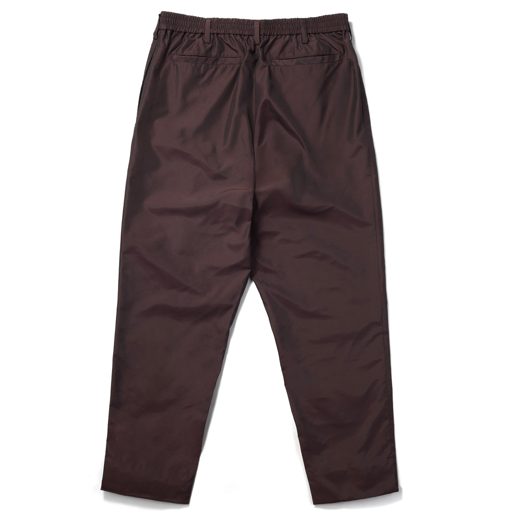 Silk & Nylon Trousers in Brown, back