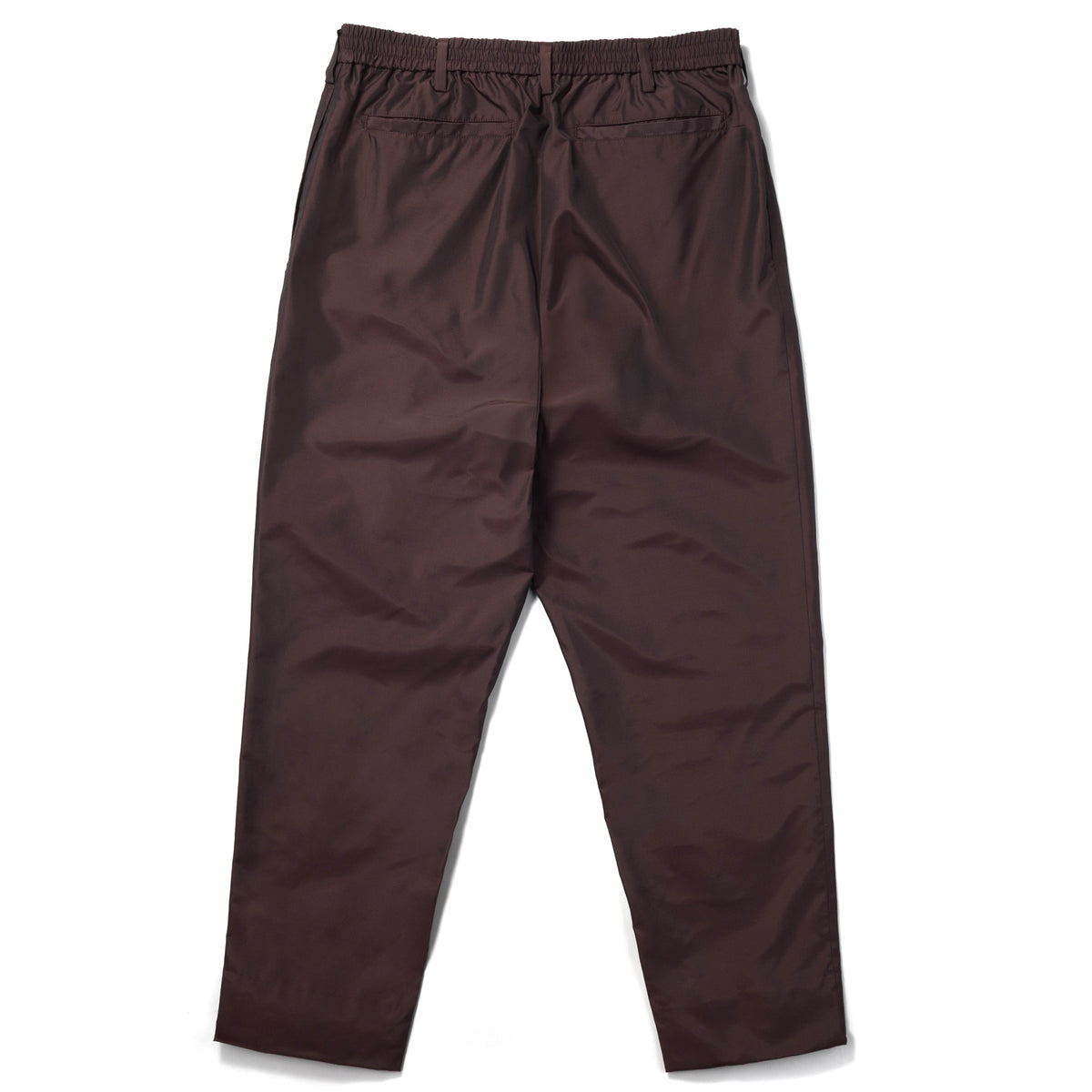 Silk & Nylon Trousers in Brown, back