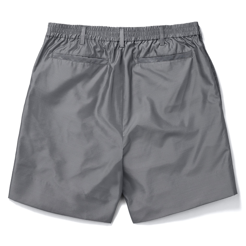 Silk & Nylon Shorts in Gray, back