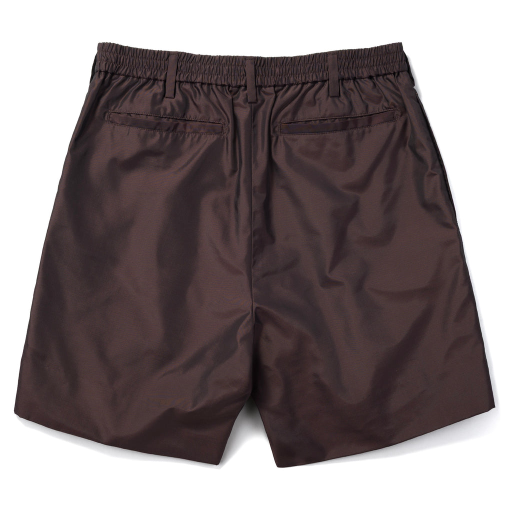 Silk & Nylon Shorts in Brown, back