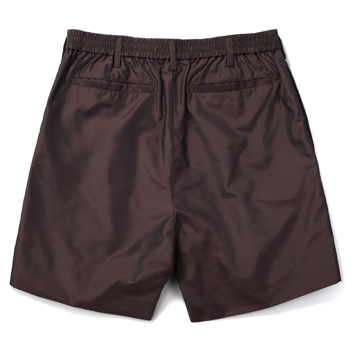 Silk & Nylon Shorts in Brown, back